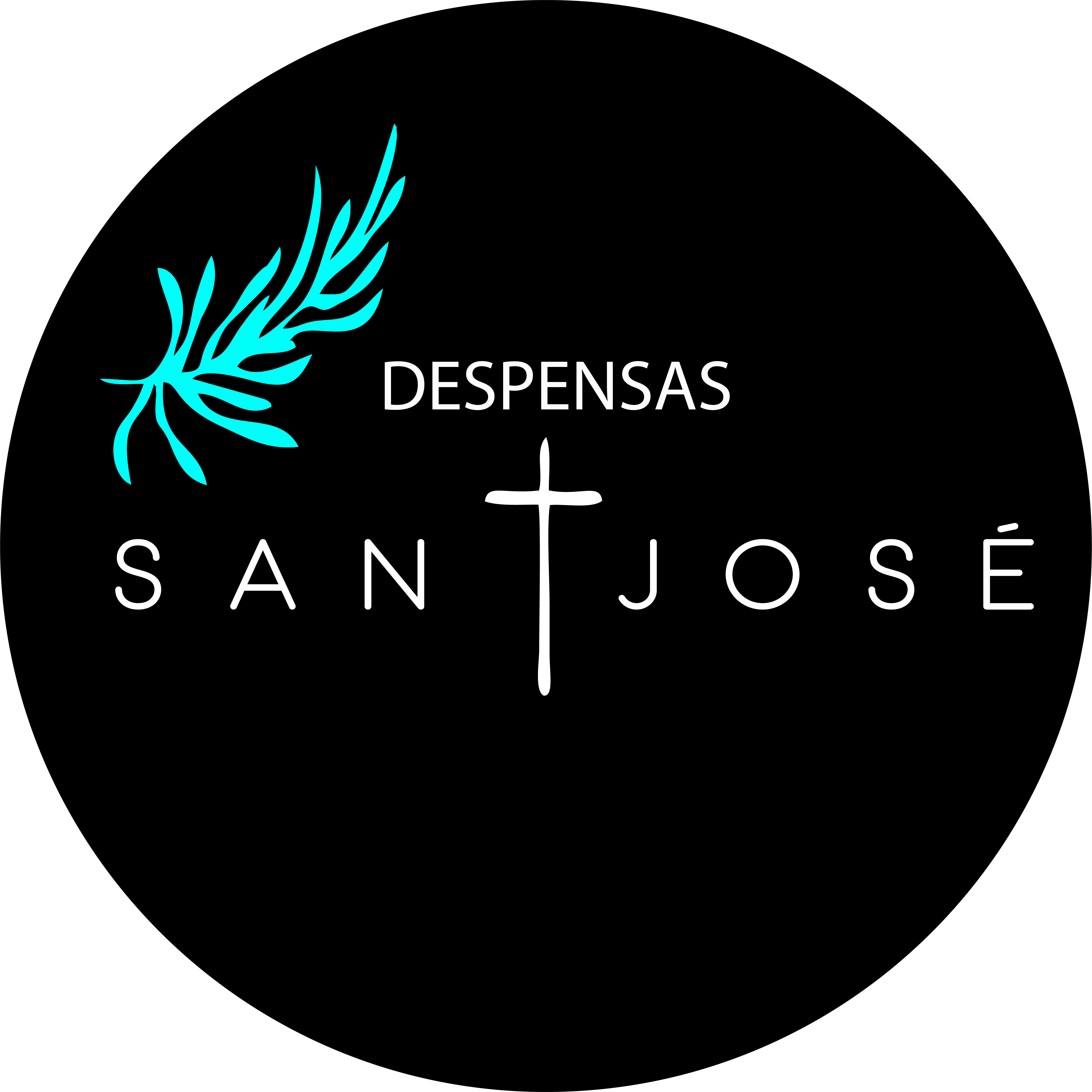 Logo Despensas San José